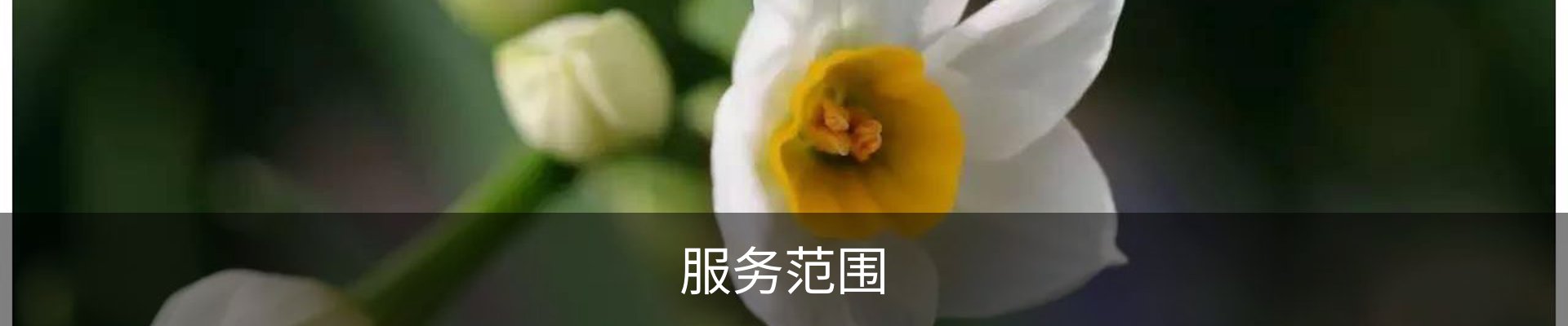 服务范围
