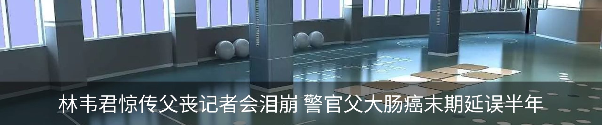 新闻动态