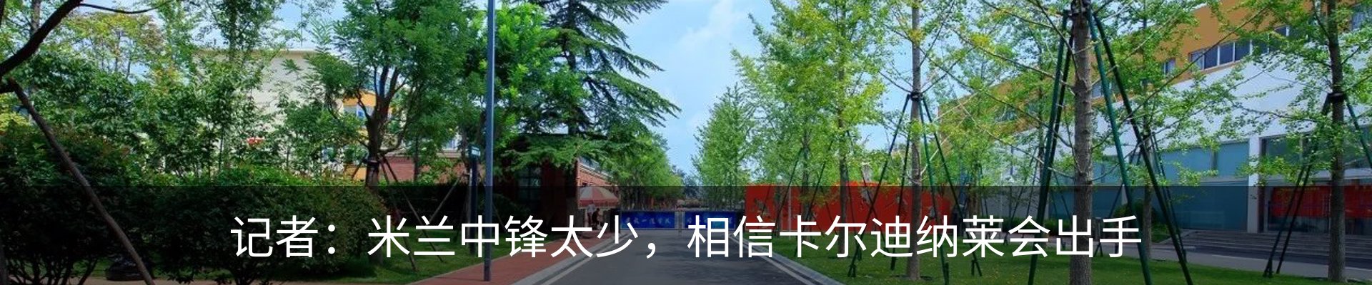 新闻动态